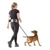 D&D Joggebelte m/line, Sports Active Walker