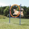 Agility Ring  1,15m x D: 65cm Blå/Oransje