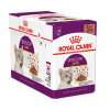 Royal Canin Våtfor - Sensory Taste Gravy, 85g