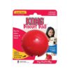 Hundeleke KONG Biscuit Ball