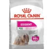 Exigent Mini, hund