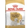 West Highland White Terrier Adult 1,5 kg