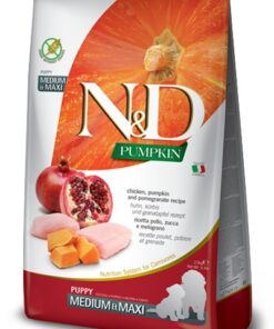 FARMINA DOG PUMPKIN CHICKEN & POMEGRANATE PUPPY MEDIUM & MAXI 2,5 KG