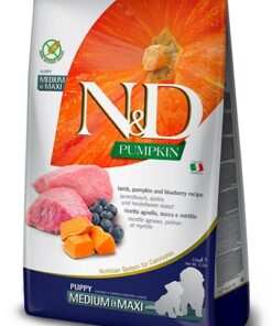 FARMINA DOG PUMPKIN LAMB & BLUEBERRY PUPPY MEDIUM & MAXI 2,5 KG