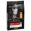 Purina PRO PLAN Medium Adult Everyday Nutrition kylling