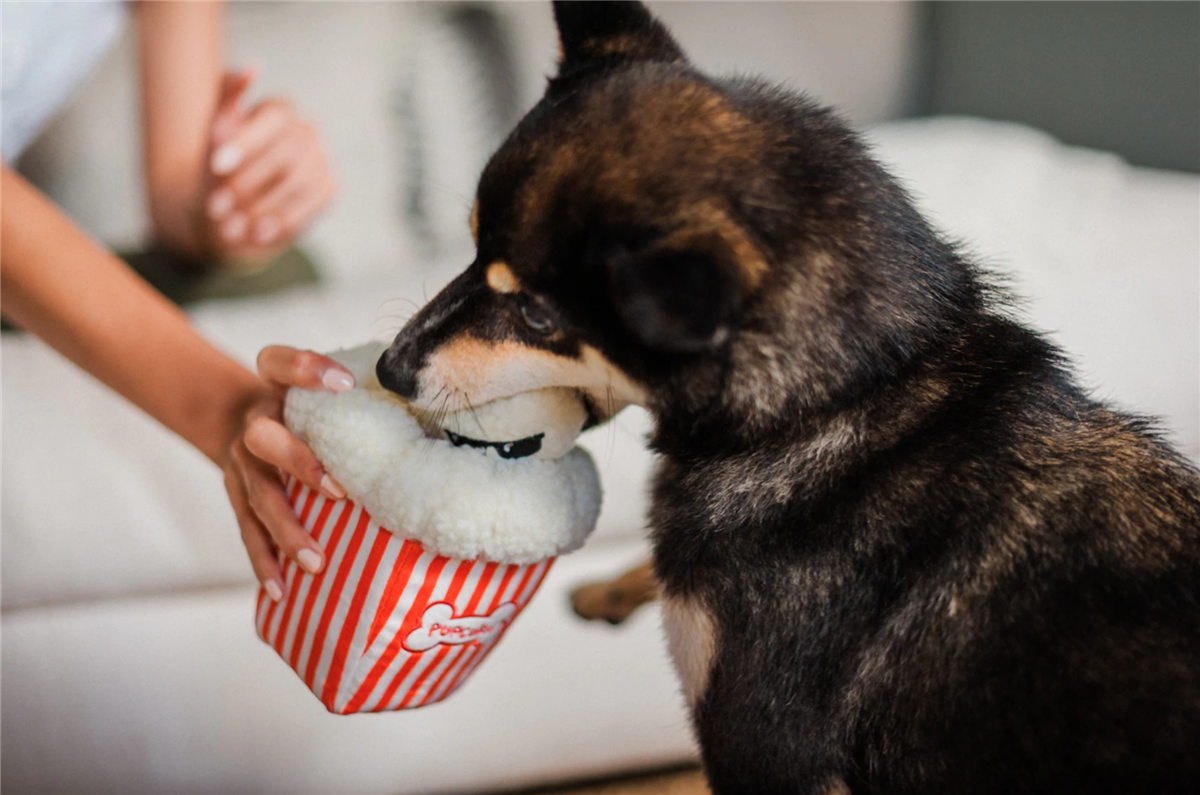 Hollywoof Collection - Poppin’ Pupcorn, hundeleke - Bilde 2