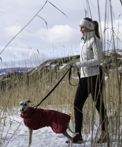 Alternative view of 1911 Dogwear Rex Bungee Leash kjørestrikk