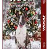 Woolf julekalender for hund 2026