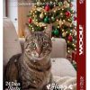 Woolf julekalender for katt 2026