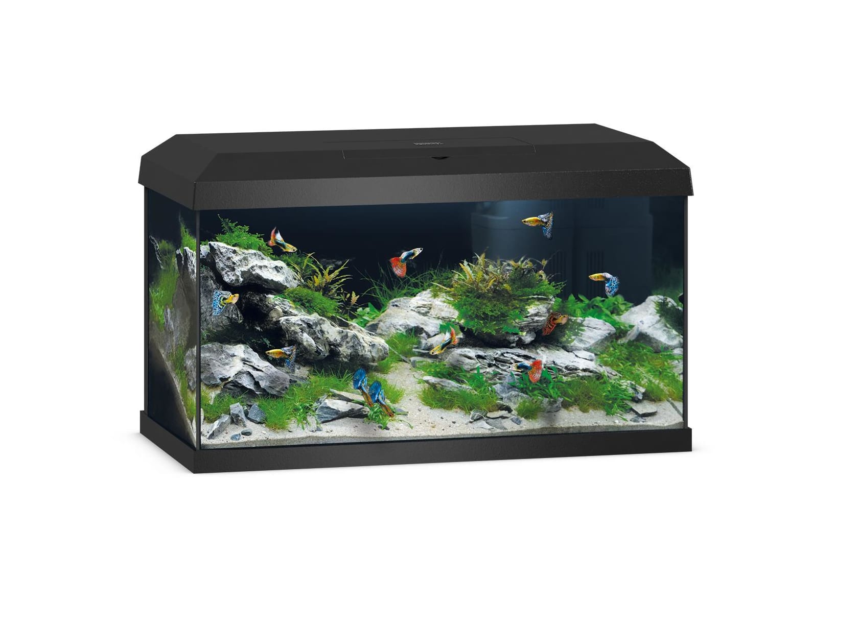Akv. Juwel Primo 60 2.0 LED Startersett 57L Sort