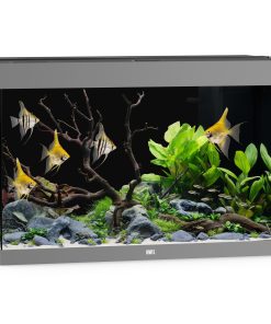 Akv. Juwel Rio 290 Grå LED Lys 290L