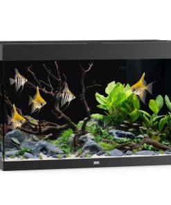Akv. Juwel Rio 290 Sort LED Lys 290L