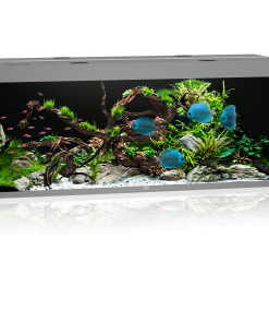 Akv. Juwel Rio 450 Grå LED Lys 450L