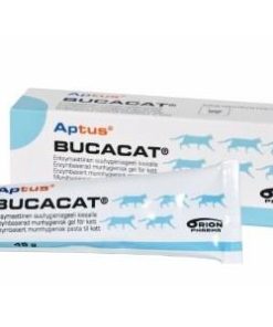 Aptus Bucacat Pasta