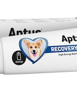 Aptus Recovery Booster Dog 100 g (Reconvalescent)