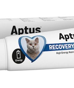 Aptus Recovery Booster t/kat, 60 g (Reconvalescent)