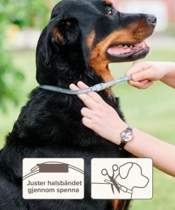 Beaphar Bio halsbånd Hund 80cm