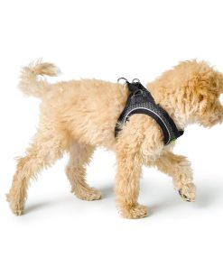 Hunter Sele Hilo Comfort 52-58/S-M Mesh anthracite with refl piping