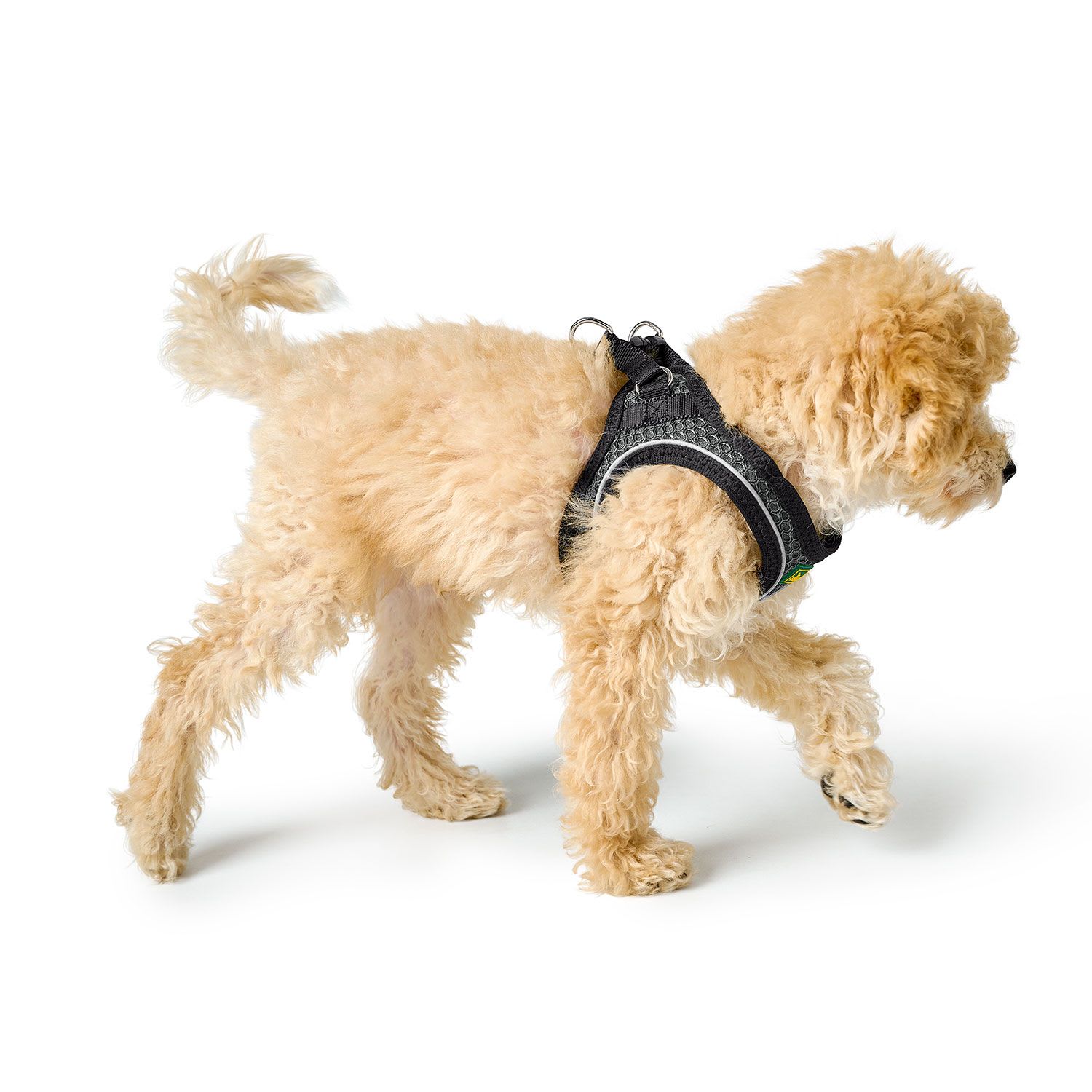Hunter Sele Hilo Comfort 58-65/M Mesh anthracite with refl piping