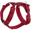Hunter Sele Maldon Up 37-53/XS-S Polyester Cherry Rød