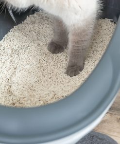 Kattesand Tofu 4,5kg