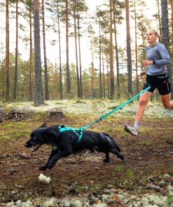 Non-stop dogwear Bungee leash, unisex, ice blue, 2.0m/23mm, single