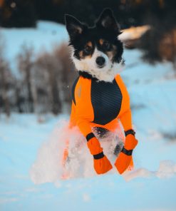 Non-stop dogwear Contact bootie high, unisex, orange, 3XS, 4pk