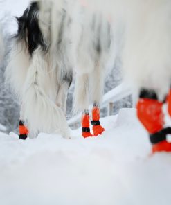 Non-stop dogwear Contact bootie high, unisex, orange, 3XS, 4pk