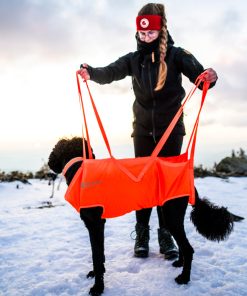Non-stop dogwear Dog rescue sling, unisex, orange, L, single