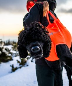 Non-stop dogwear Dog rescue sling, unisex, orange, S, single