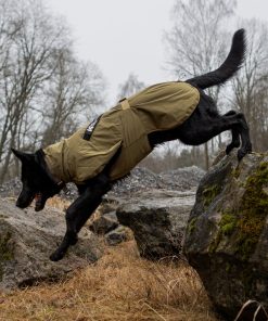 Non-stop dogwear Fjord raincoat WD, unisex, olive, 40, single