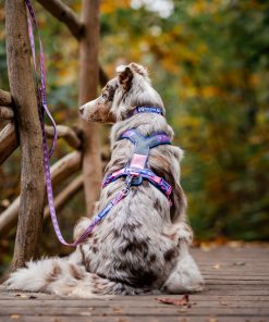 Non-stop dogwear Line harness 5.0 RP signature edition, unisex, purple/pink, 1, single