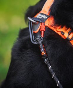 Non-stop dogwear Line harness 5.0, unisex, blue, 1, single