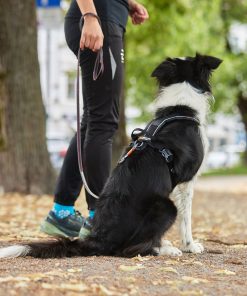 Non-stop dogwear Line harness grip, unisex, black, 1, single