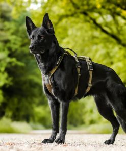 Non-stop dogwear Line harness long WD, unisex, olive, 4, single