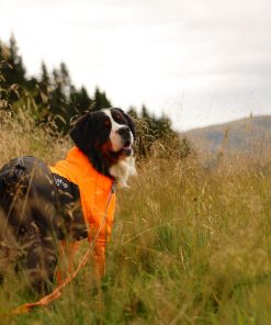 Non-stop dogwear Protector dog suit M, male, orange/black, 42, single