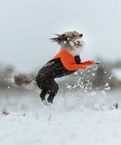 Non-stop dogwear Protector dog suit M, male, orange/black, 65, single