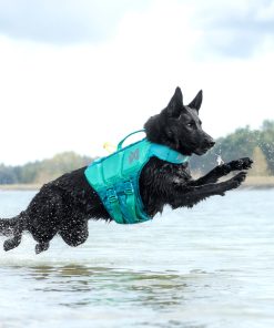 Non-stop dogwear Protector life jacket, unisex, teal, 2, single