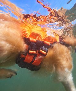 Non-stop dogwear Protector life jacket, unisex, teal, 2, single