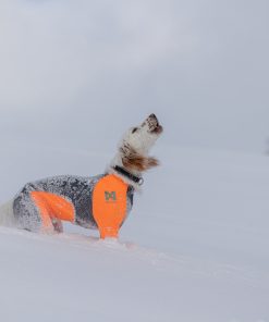 Non-stop dogwear Protector snow, male, black/orange, 2XS, single