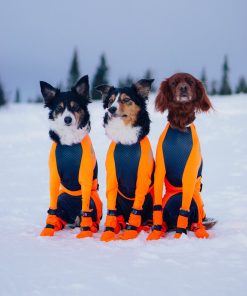 Non-stop dogwear Protector snow, male, black/orange, 2XS, single