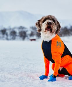 Non-stop dogwear Protector snow, male, black/orange, 2XS, single