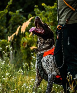 Non-stop dogwear Protector vest GPS 2.0, unisex, orange, 2XS, single