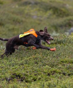 Non-stop dogwear Protector vest GPS 2.0, unisex, orange, 2XS, single