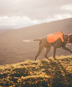 Non-stop dogwear Protector vest GPS, unisex, orange, 2XS, single