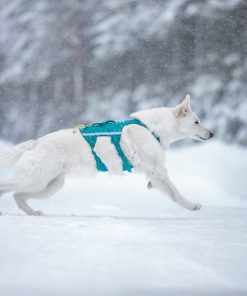 Non-stop dogwear Ramble harness long, unisex, teal, XS, single