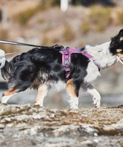 Non-stop dogwear Ramble harness, unisex, green, XS, single