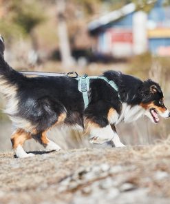 Non-stop dogwear Ramble harness, unisex, green, XS, single