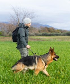 Non-stop dogwear Touring bungee leash WD, unisex, olive, 2.8m/23mm, single