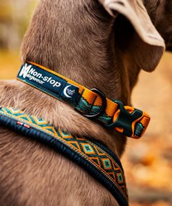 Non-stop dogwear Trail quest collar RP signature edition, unisex, purple/pink, S, single